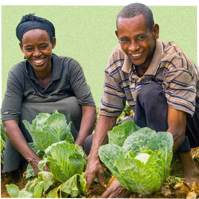 fruit and veg for the future