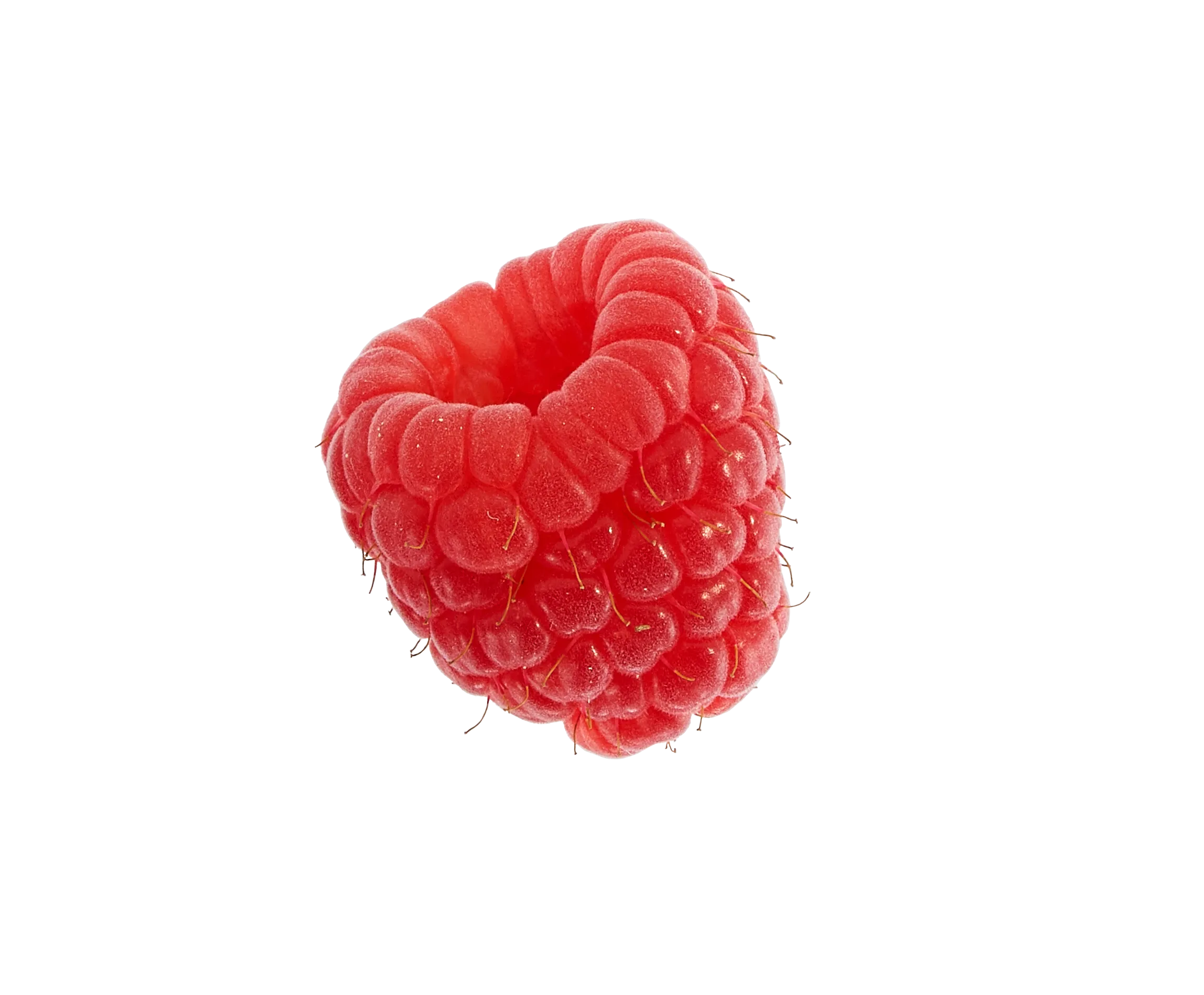 raspberry