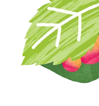 text